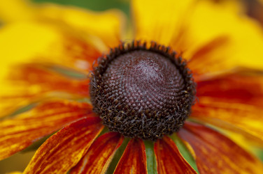 Similar image 21391558