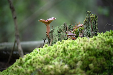 Similar image 21391559