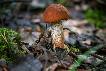 Similar image 21391869