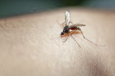 Similar image 21391872