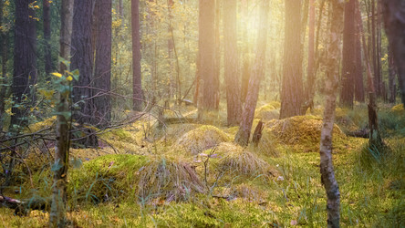 Similar image 21391873