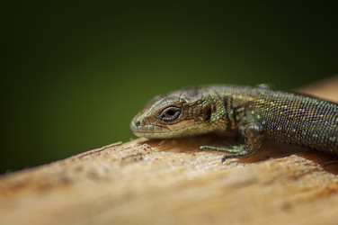 Similar image 21392115