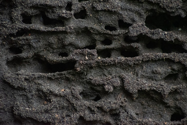 Similar image 21392324