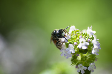 Similar image 21392325