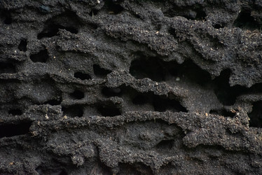 Similar image 21392328