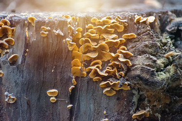 Similar image 21392638