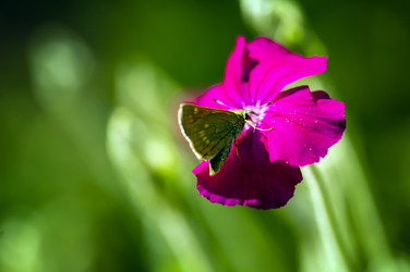 Similar image 21392639