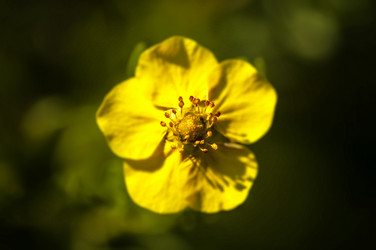 Similar image 21392641