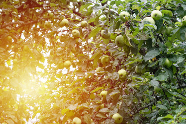 Similar image 21392642