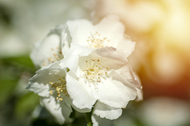 Similar image 21392643