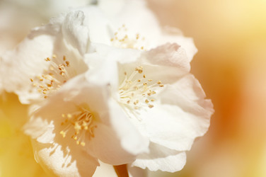 Similar image 21392645