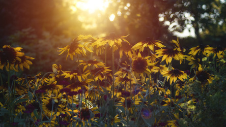 Similar image 21392648