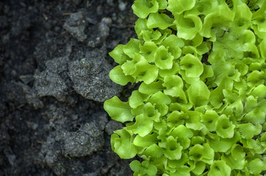 Similar image 21393053