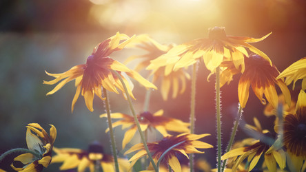 Similar image 21393054