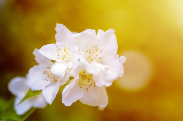 Similar image 21393064