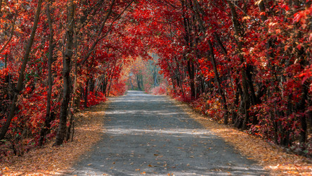 Similar image 21393065