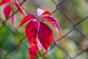 Similar image 21393319