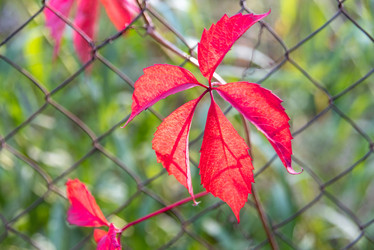 Similar image 21393320