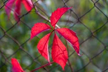 Similar image 21393322