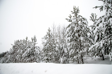 Similar image 21393327