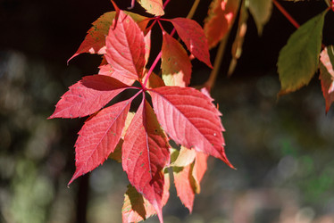 Similar image 21393328