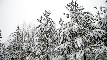 Similar image 21393604