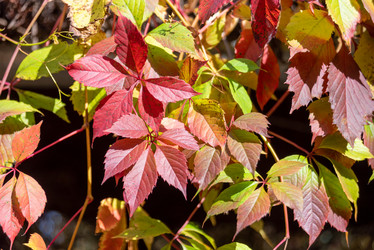 Similar image 21393605