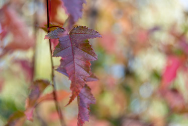 Similar image 21394478