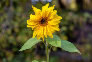 Similar image 21394480