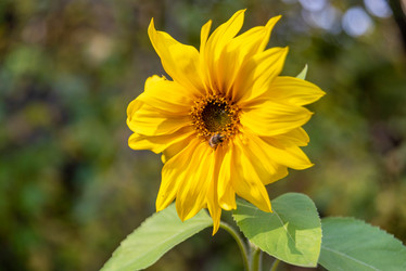 Similar image 21394482