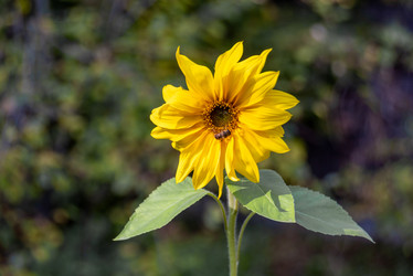 Similar image 21394699