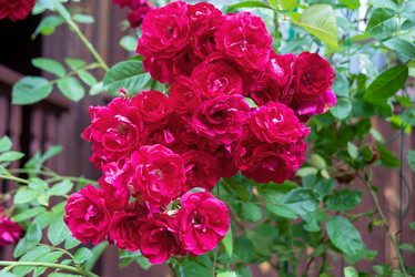 Similar image 21394701