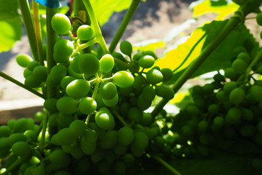 Similar image 21417867