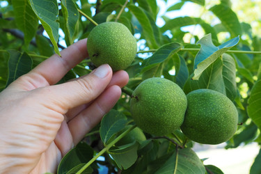 Similar image 21417869