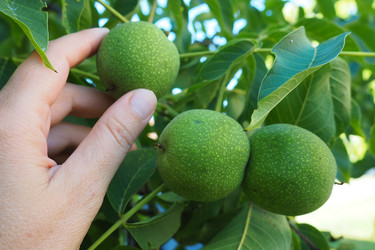 Similar image 21417870