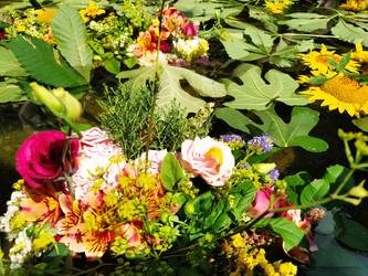 Similar image 21417873