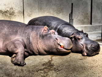 Similar image 21390378