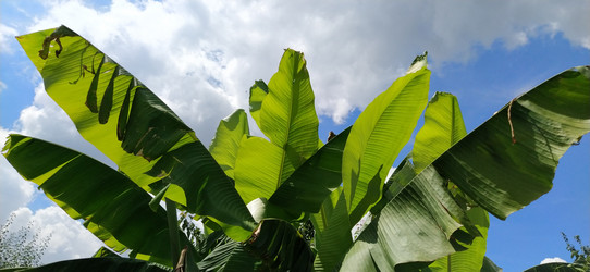 Similar image 21389386