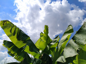 Similar image 21389389