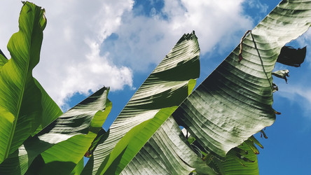 Similar image 21389390