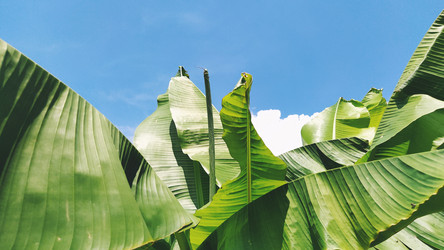 Similar image 21389391