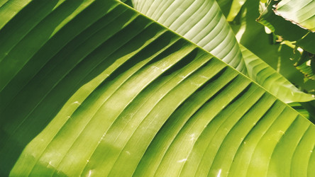 Similar image 21390381