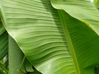 Similar image 21390382