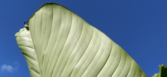 Similar image 21390386