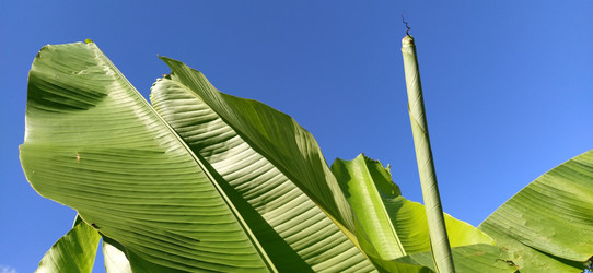 Similar image 21390387