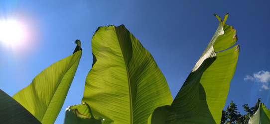 Similar image 21390391