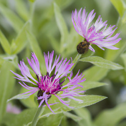 Similar image 21417876