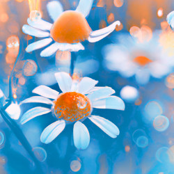 Similar image 21417880