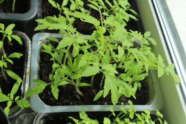 Similar image 21412565