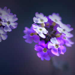 Similar image 21390690